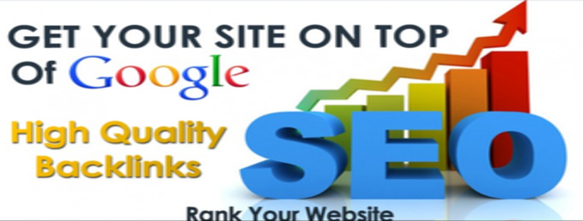 SEO Company in Delhi